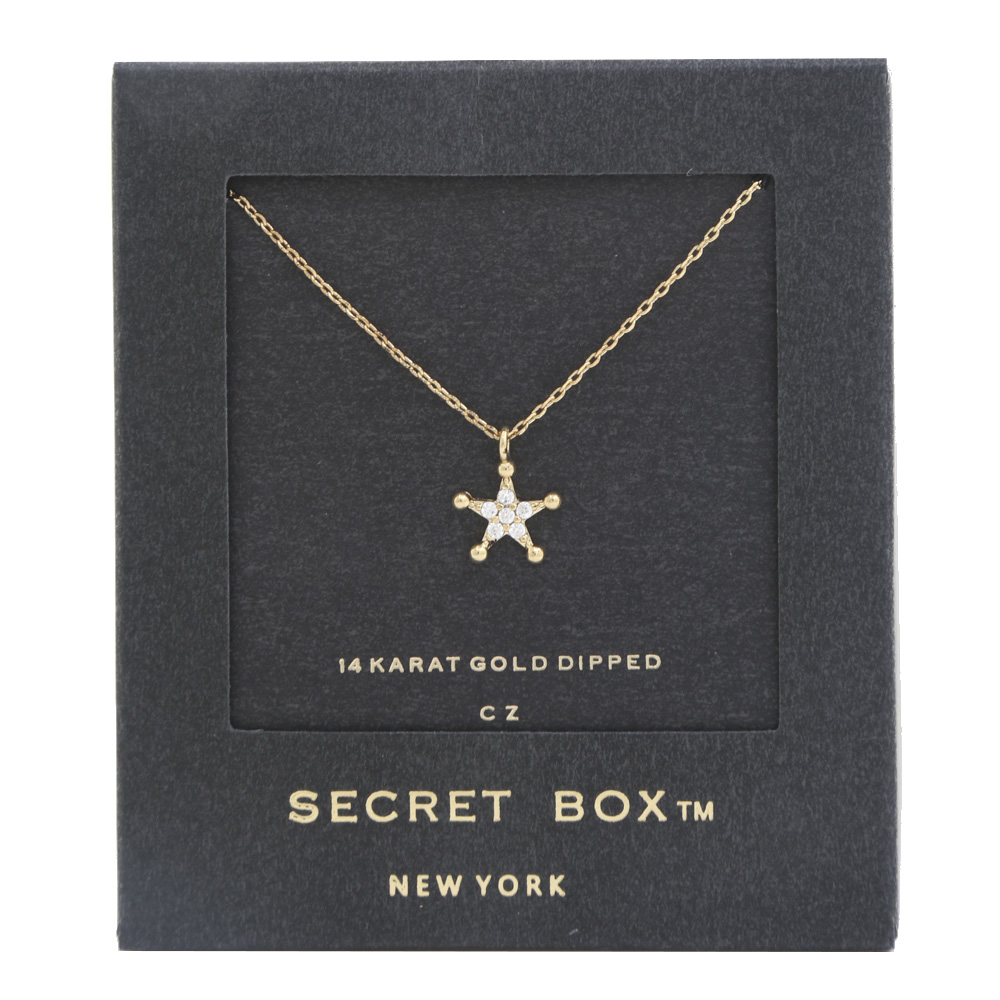 STAR CHARM 14K GOLD DIPPED NECKLACE